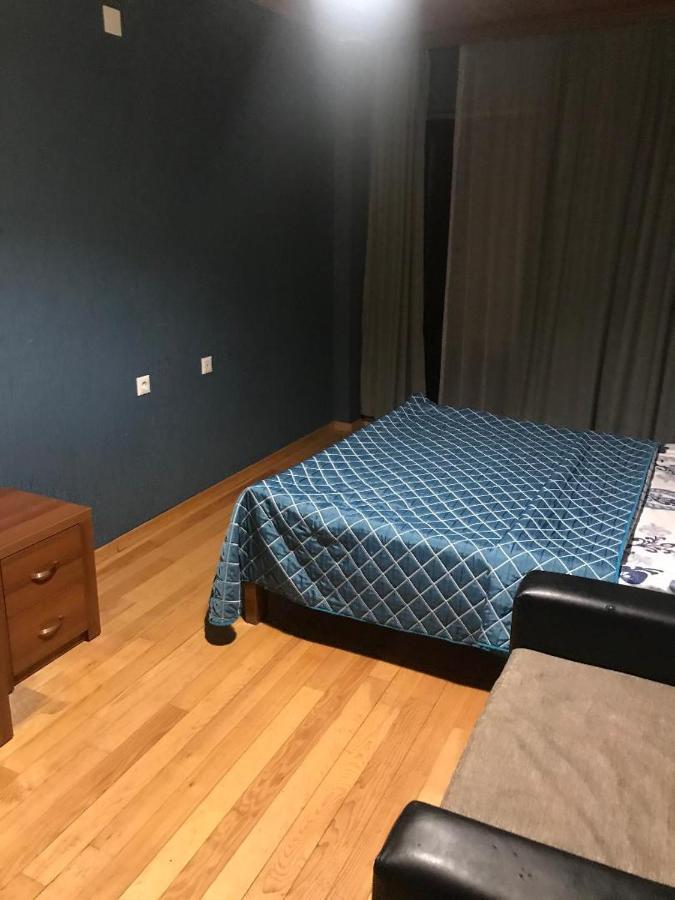 Guesthouse David Zhorzholiani 梅斯蒂亚 外观 照片