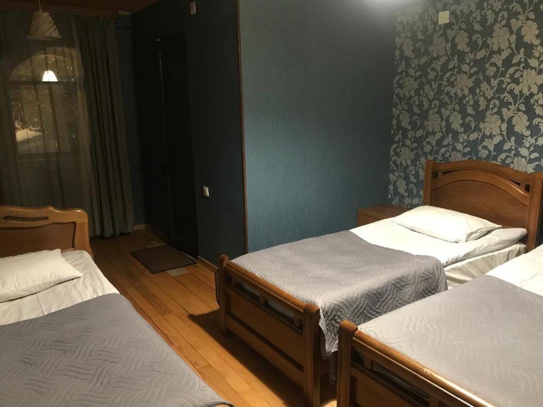 Guesthouse David Zhorzholiani 梅斯蒂亚 外观 照片