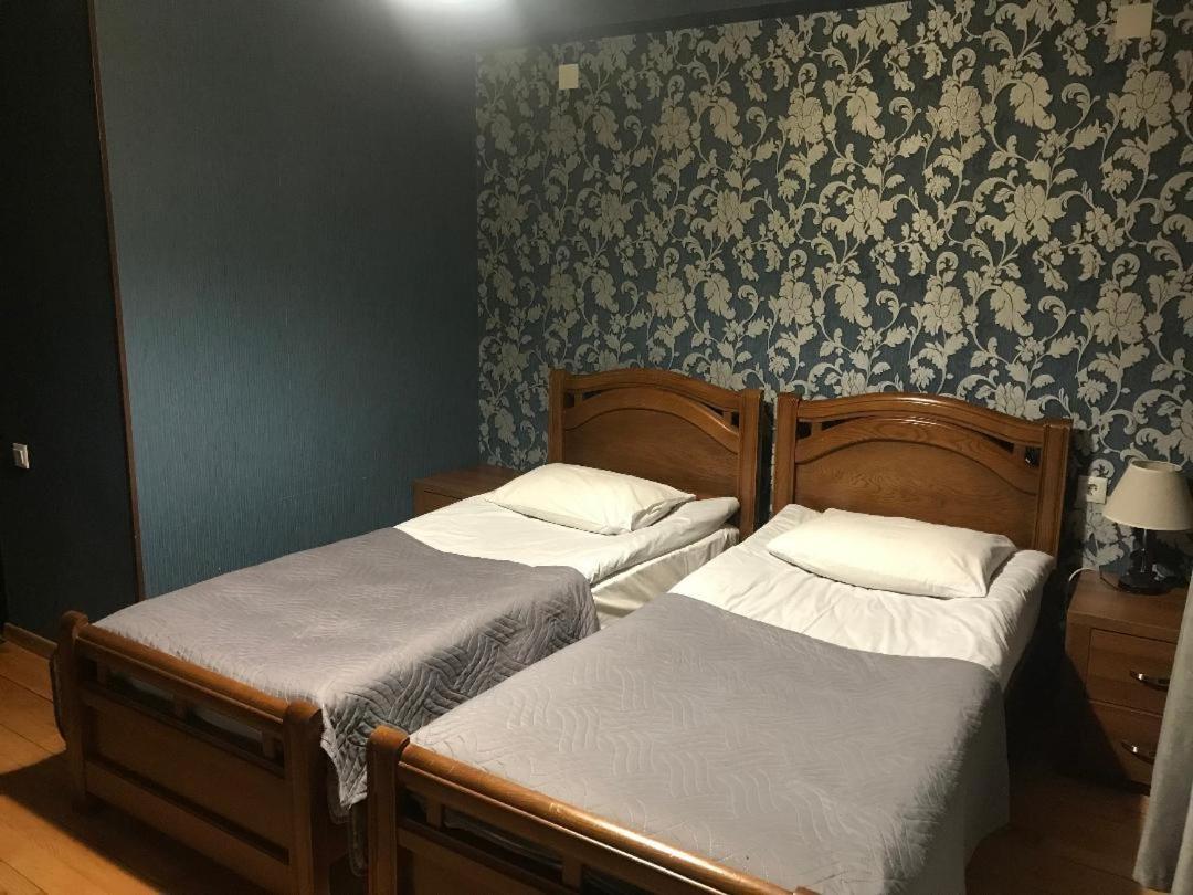 Guesthouse David Zhorzholiani 梅斯蒂亚 外观 照片